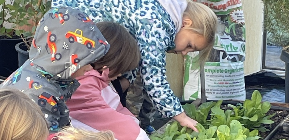 Students Planting