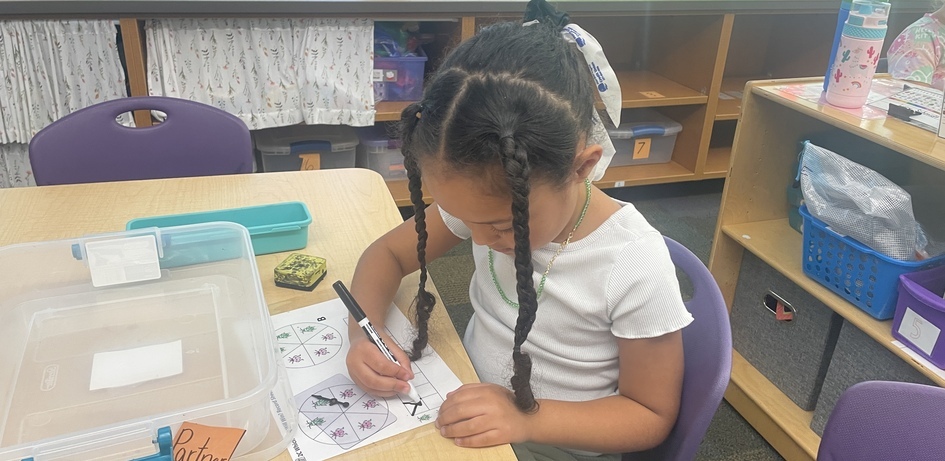 Student Completing Worksheet