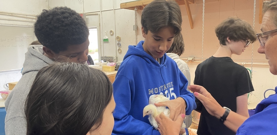 Student Holding Chicken