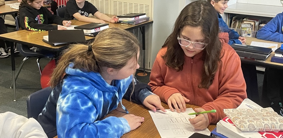 Students Working In Pairs