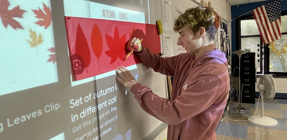 Student Tracing Leaf