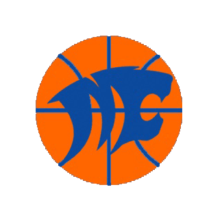 Wildcat Basketball Logo